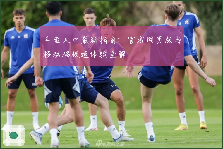 斗鱼入口最新指南:官方网页版与移动端极速体验全解