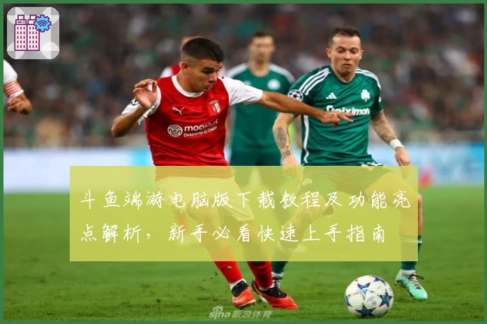 斗鱼端游电脑版下载教程及功能亮点解析，新手必看快速上手指南