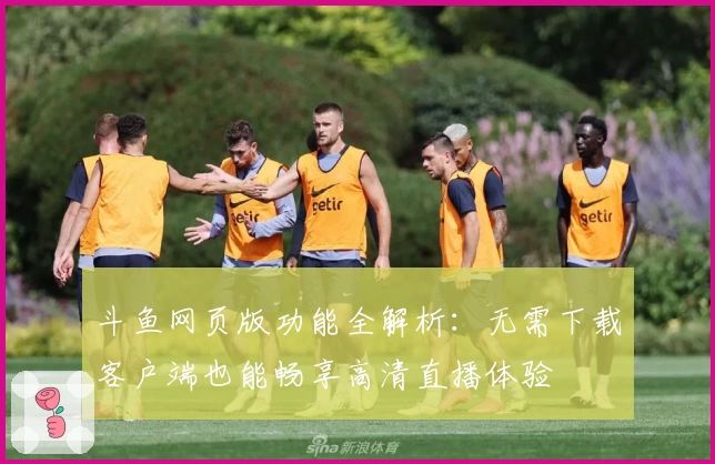 斗鱼网页版功能全解析：无需下载客户端也能畅享高清直播体验