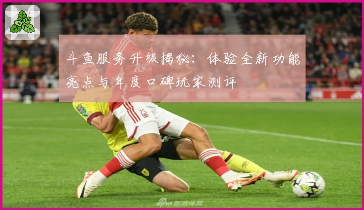 斗鱼服务升级揭秘：体验全新功能亮点与年度口碑玩家测评