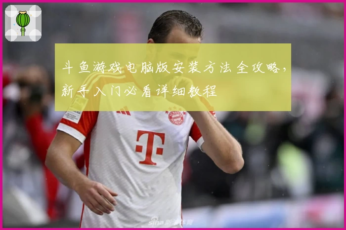 斗鱼游戏电脑版安装方法全攻略，新手入门必看详细教程