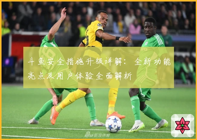 斗鱼安全措施升级详解:全新功能亮点及用户体验全面解析