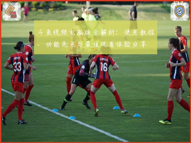 斗鱼视频电脑版全解析：使用教程、功能亮点与最佳观看体验分享