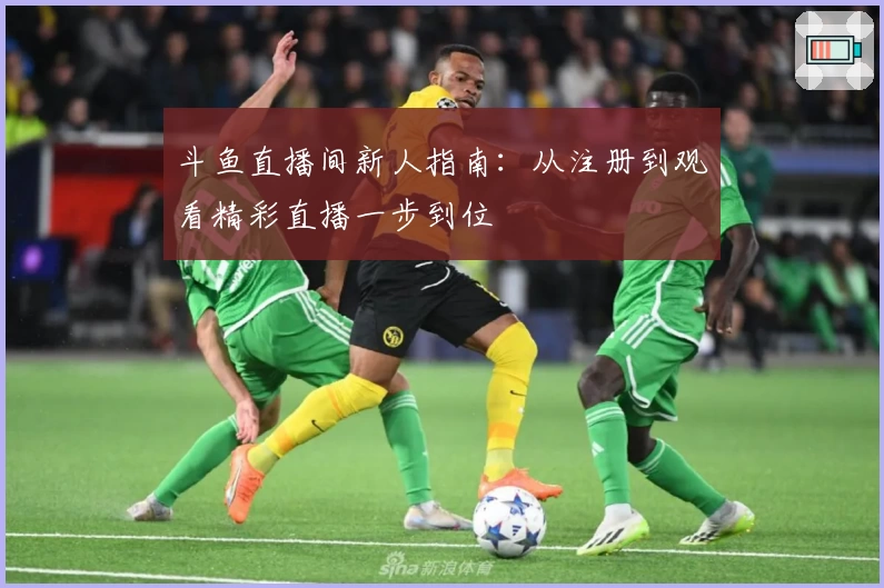 斗鱼直播间新人指南:从注册到观看精彩直播一步到位