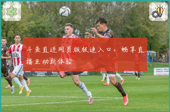 斗鱼直连网页版极速入口,畅享直播互动新体验