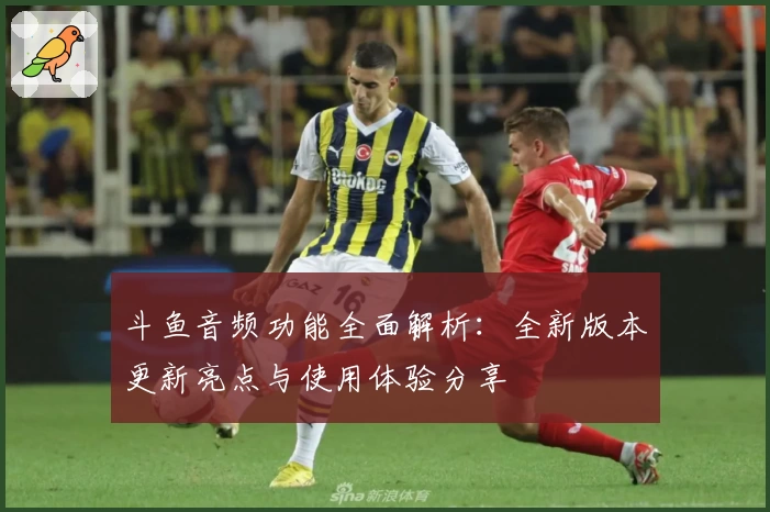 斗鱼音频功能全面解析:全新版本更新亮点与使用体验分享