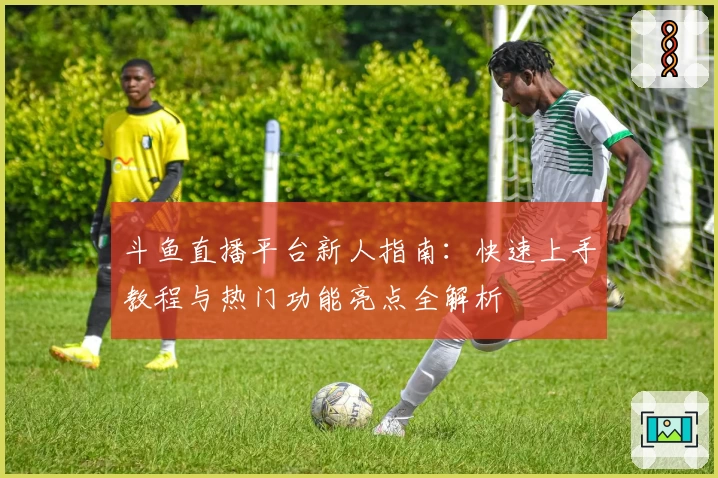 斗鱼直播平台新人指南：快速上手教程与热门功能亮点全解析