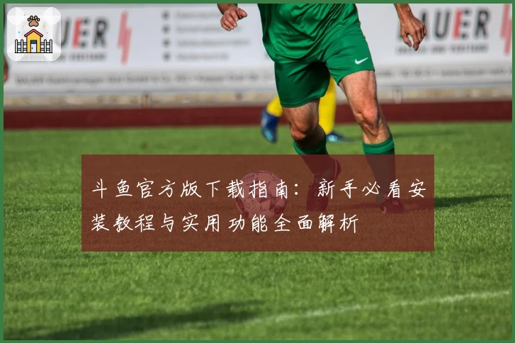 斗鱼官方版下载指南:新手必看安装教程与实用功能全面解析