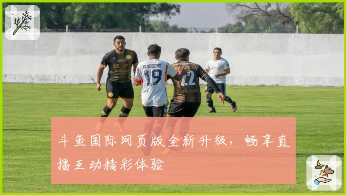 斗鱼国际网页版全新升级，畅享直播互动精彩体验