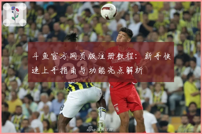 斗鱼官方网页版注册教程：新手快速上手指南与功能亮点解析